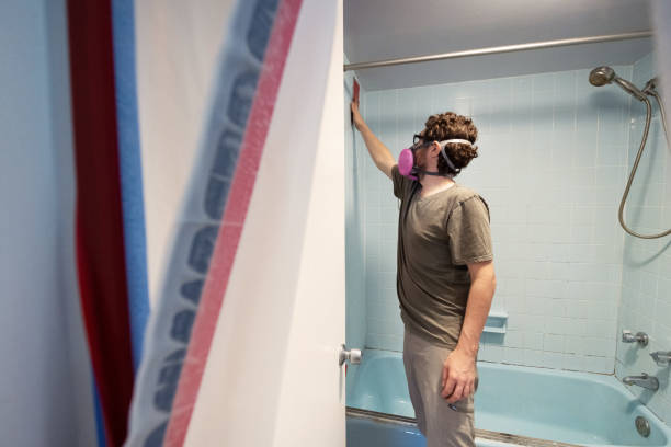 Best Basement Mold Removal  in Curtisville, PA