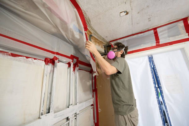 Best Air Quality Testing for Mold Spores  in Curtisville, PA