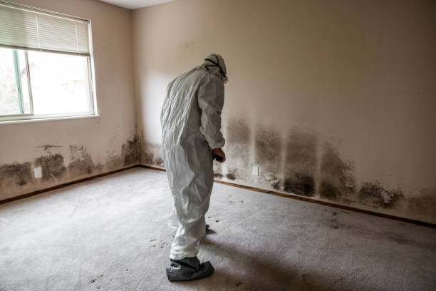 Best Asbestos and Lead Testing During Mold Inspection  in Curtisville, PA